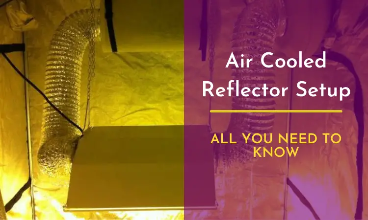 Air Cooled Reflector Setup