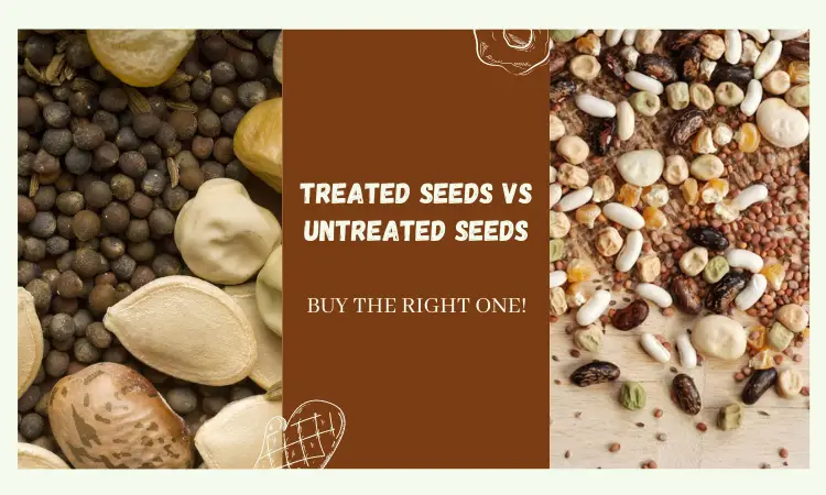 Treated Seeds Vs Untreated Seeds