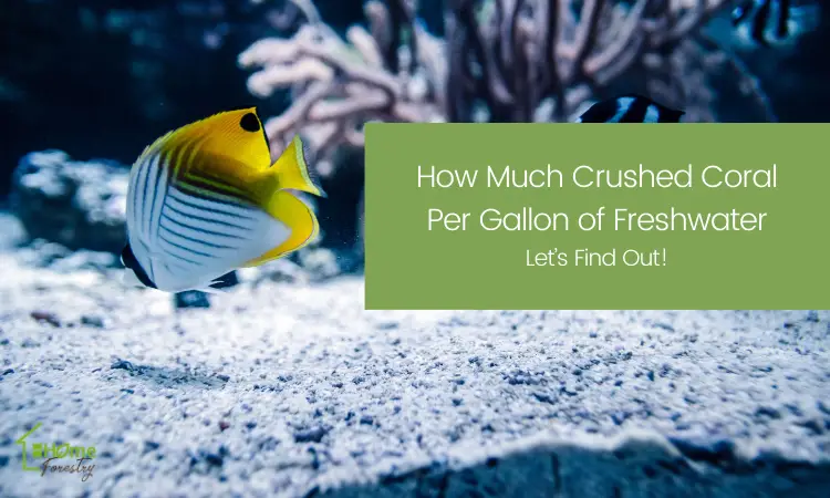 how much crushed coral per gallon of freshwater