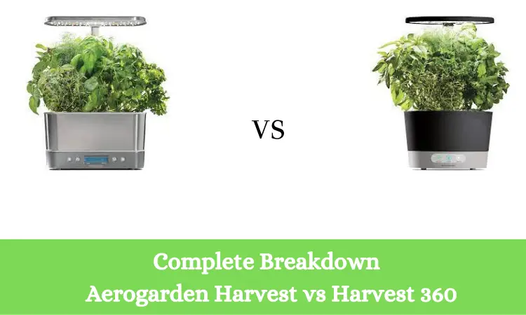 Complete Breakdown Aerogarden Harvest vs Harvest 360