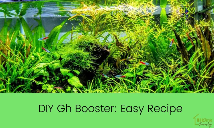 DIY Gh Booster Easy Recipe