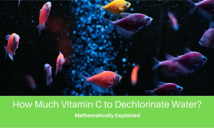 How Much Vitamin C to Dechlorinate Water