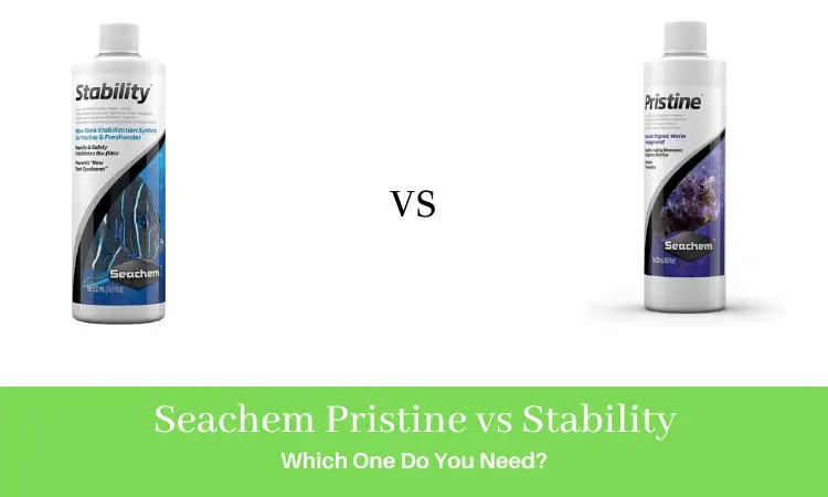 Seachem Pristine vs Stability Which One Do You Need