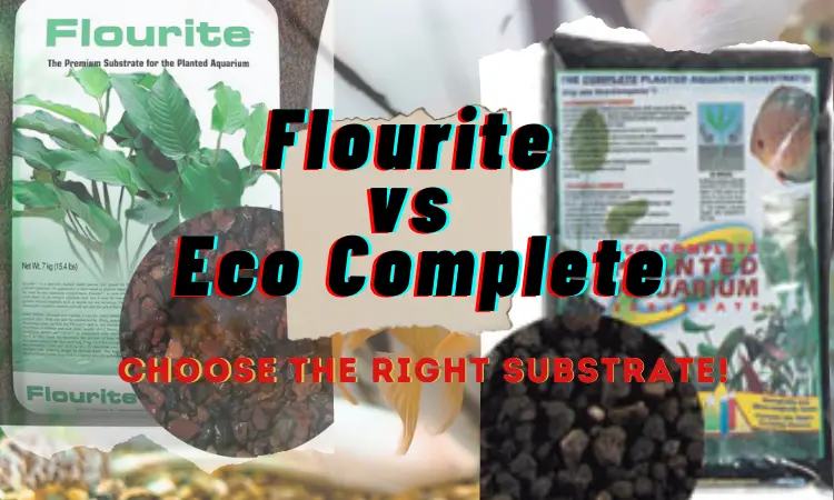 flourite vs eco complete